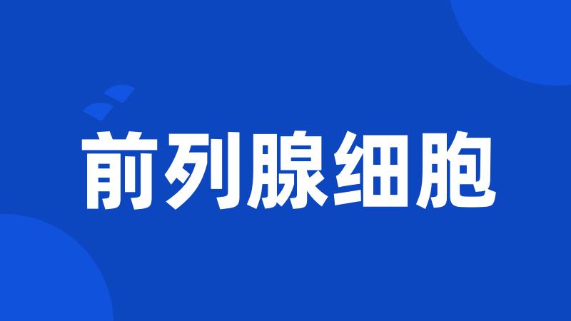前列腺细胞