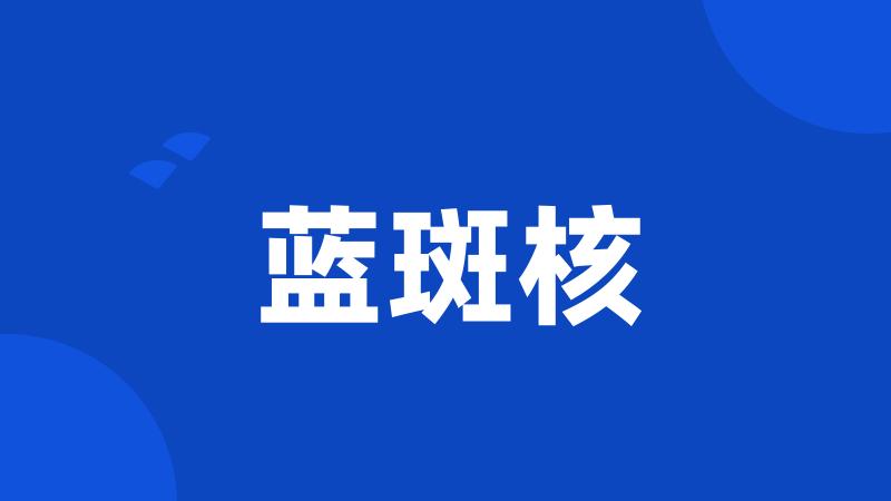 蓝斑核