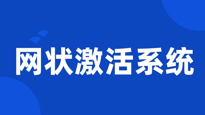 网状激活系统