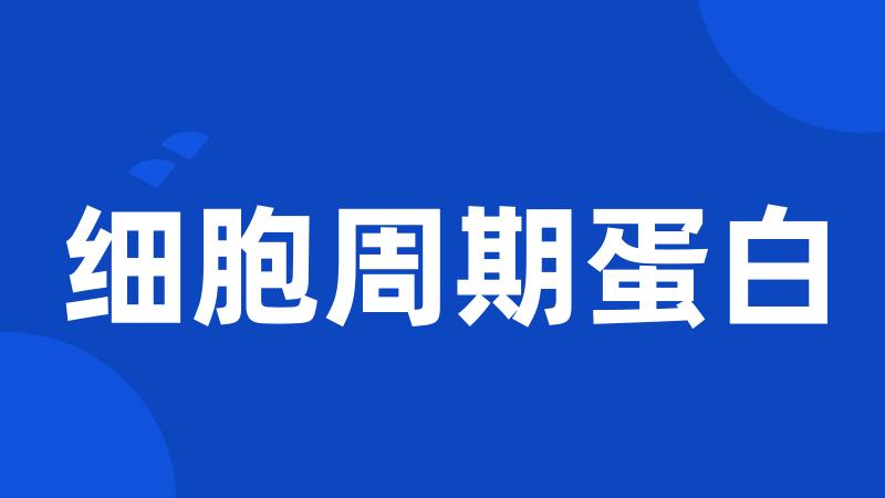 细胞周期蛋白