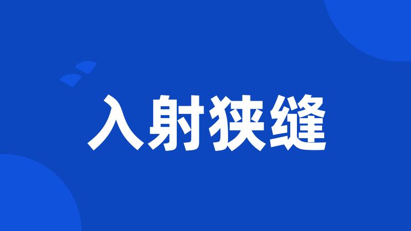 入射狭缝