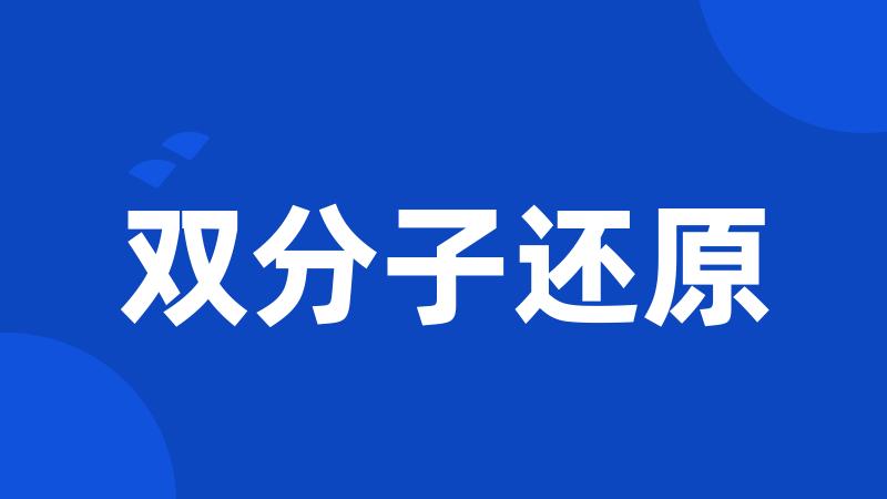 双分子还原