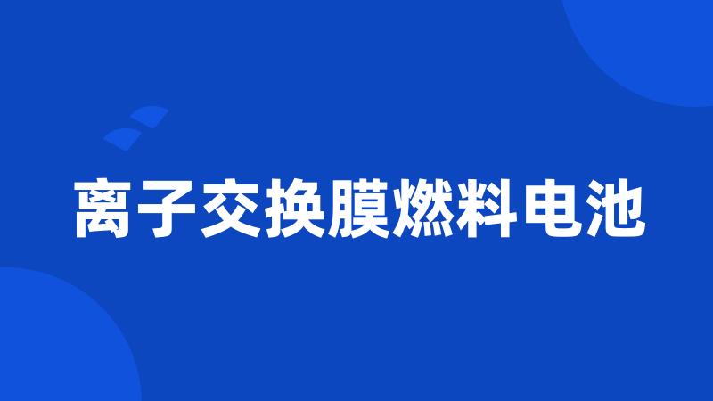 离子交换膜燃料电池