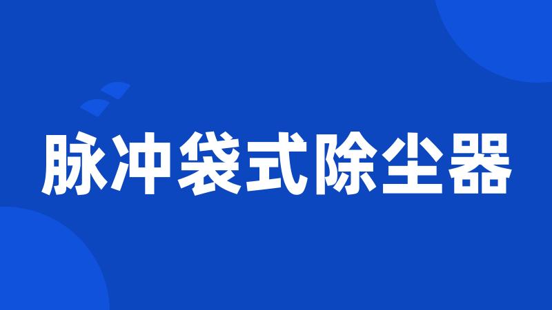 脉冲袋式除尘器