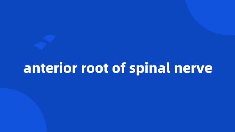 anterior root of spinal nerve