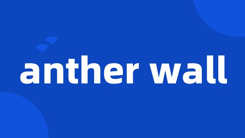 anther wall