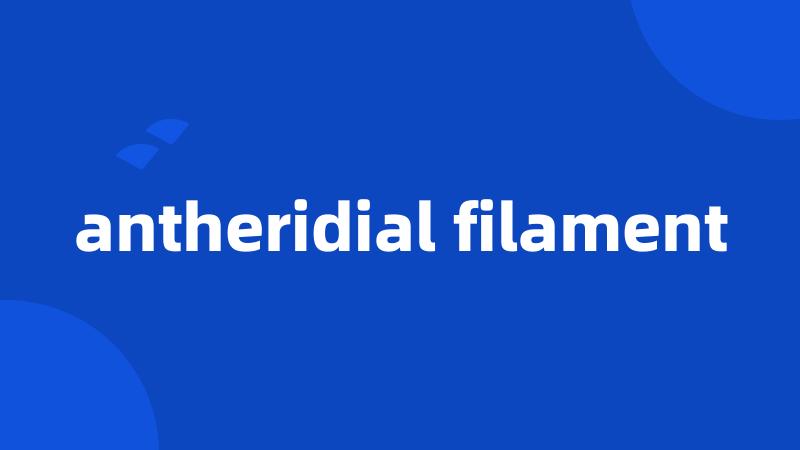 antheridial filament