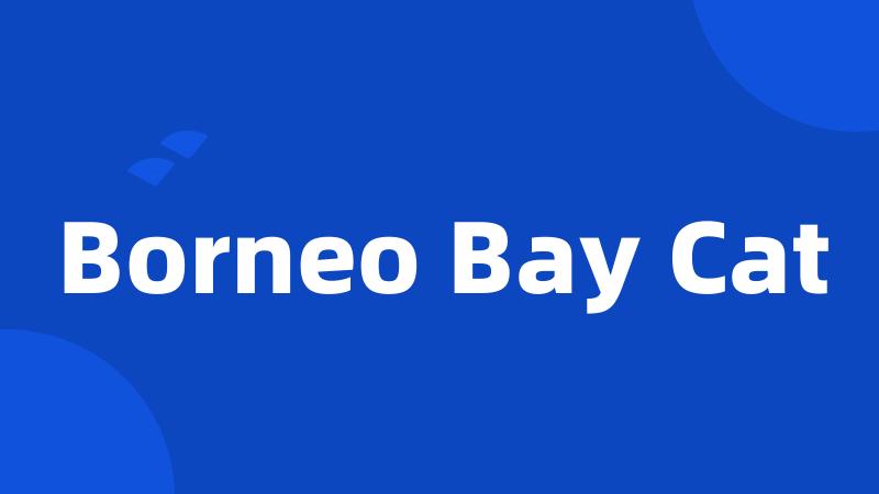 Borneo Bay Cat