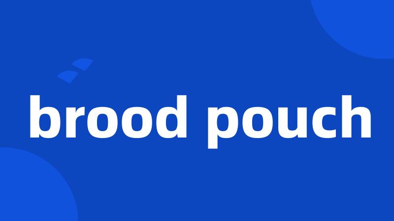 brood pouch