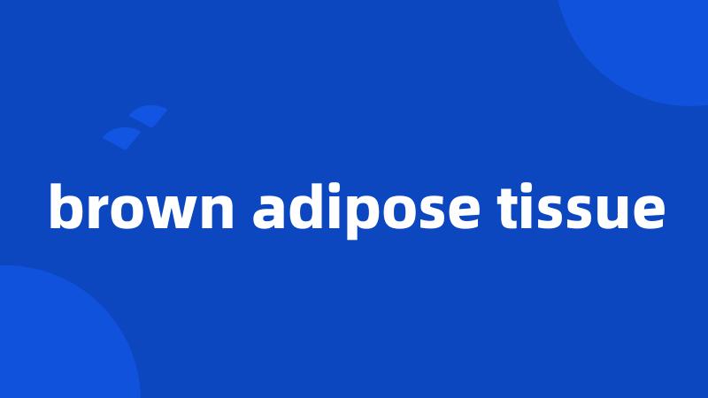 brown adipose tissue