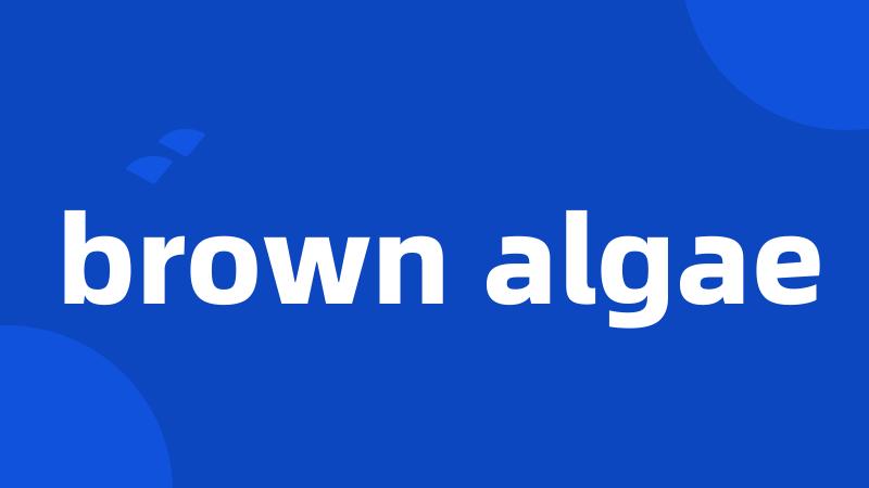 brown algae