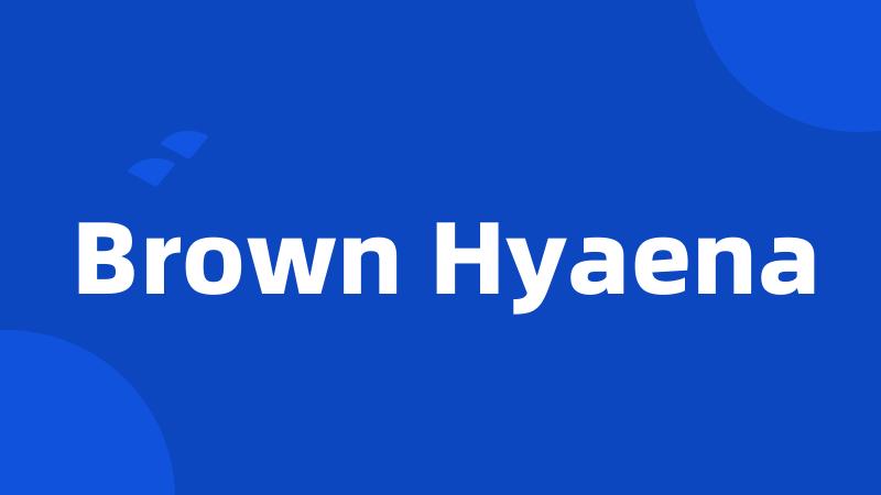 Brown Hyaena