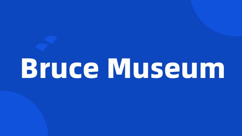 Bruce Museum