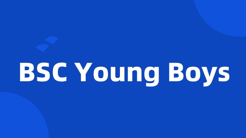 BSC Young Boys