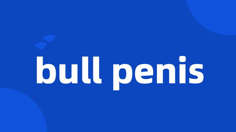 bull penis