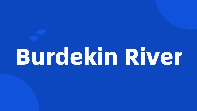 Burdekin River