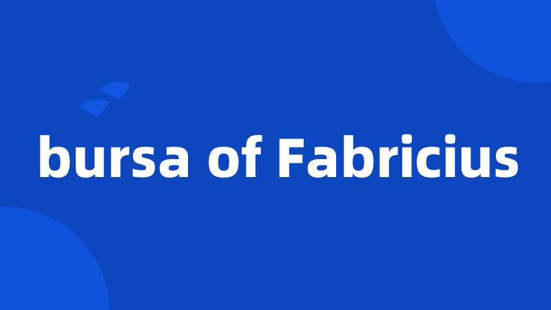 bursa of Fabricius