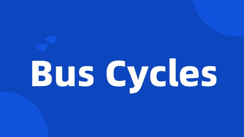 Bus Cycles