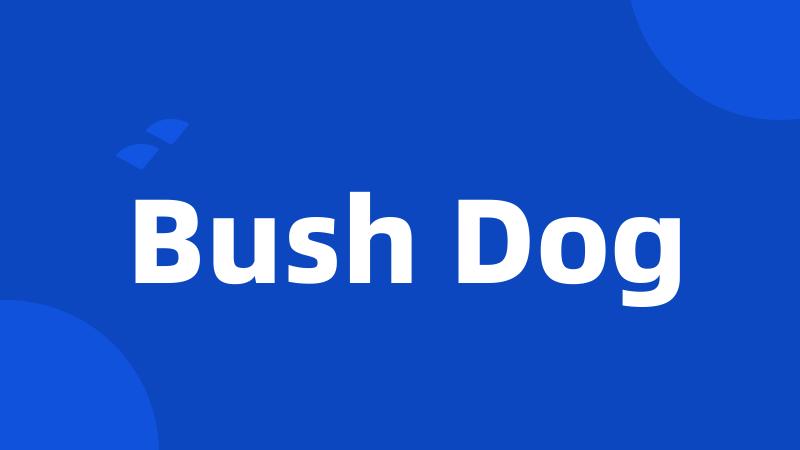 Bush Dog