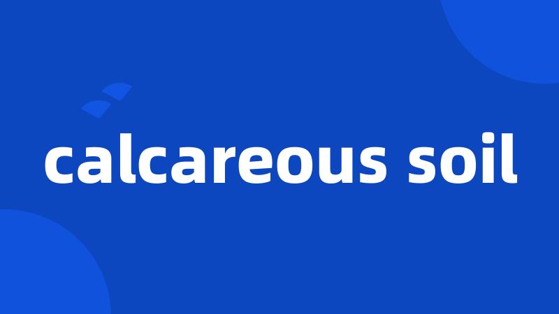 calcareous soil