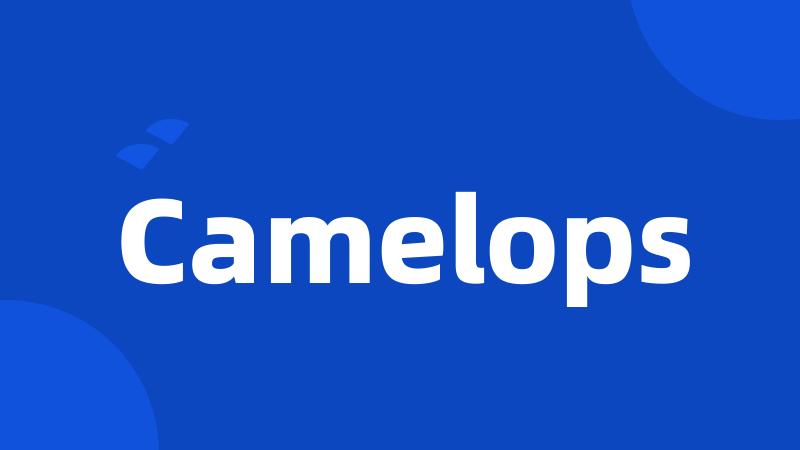 Camelops