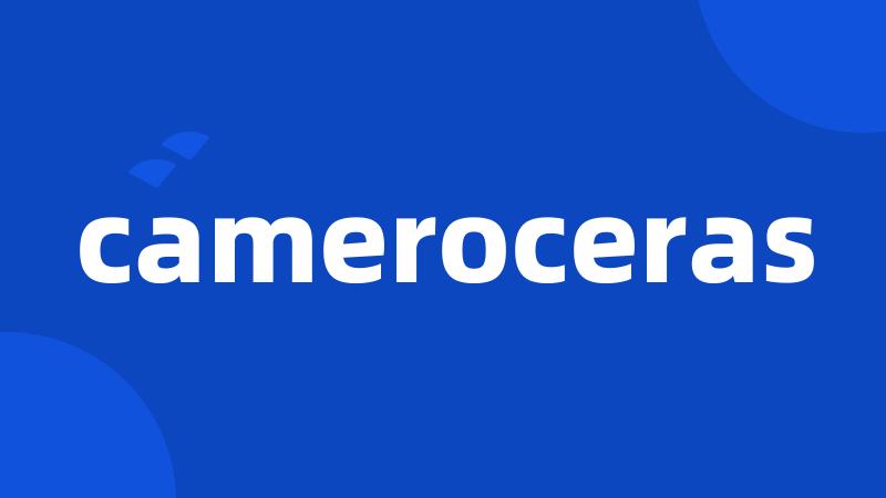 cameroceras