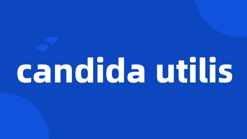 candida utilis