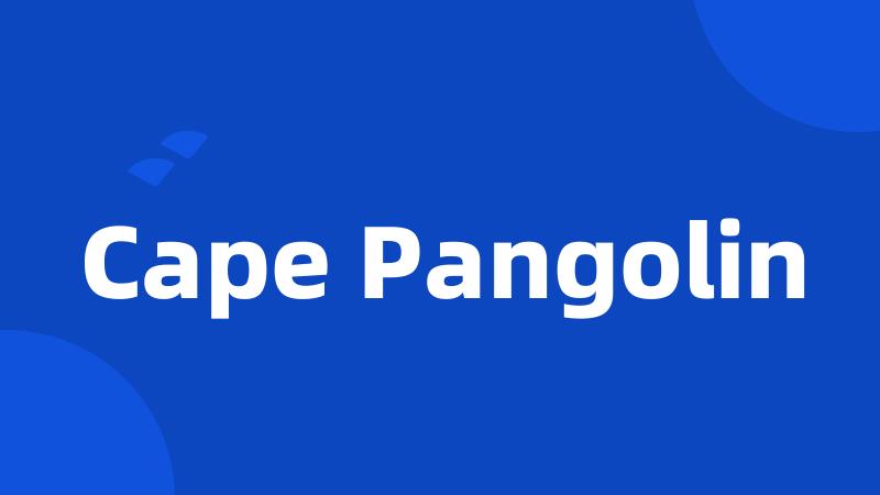Cape Pangolin