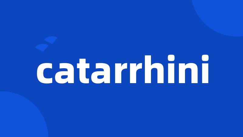 catarrhini