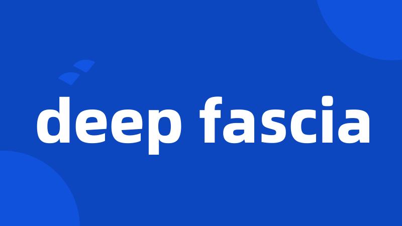 deep fascia