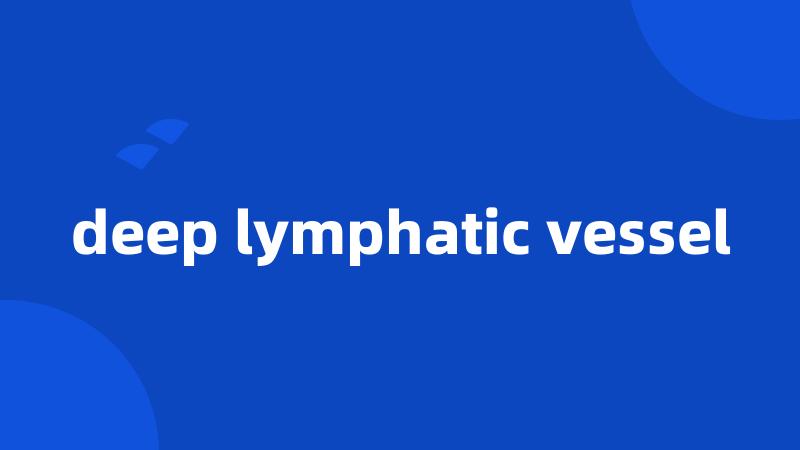 deep lymphatic vessel