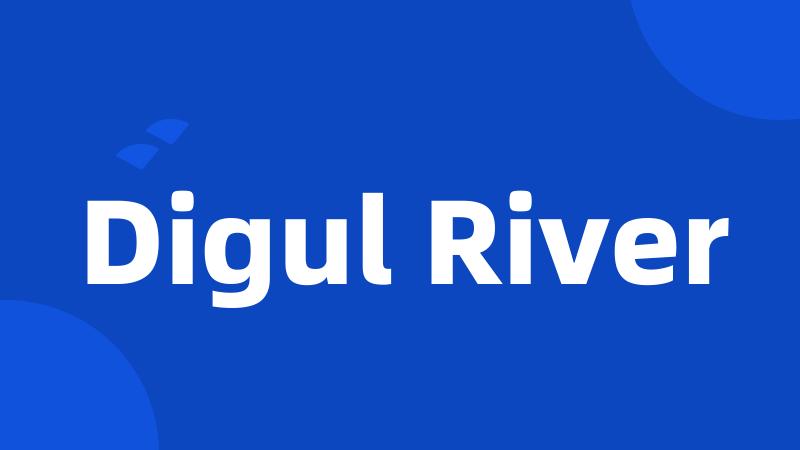 Digul River