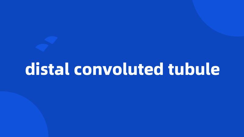 distal convoluted tubule