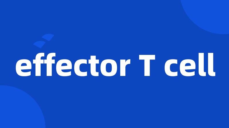 effector T cell