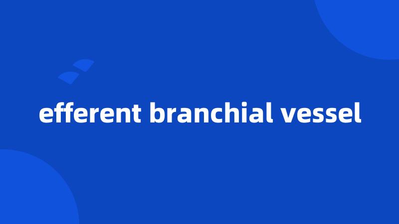 efferent branchial vessel