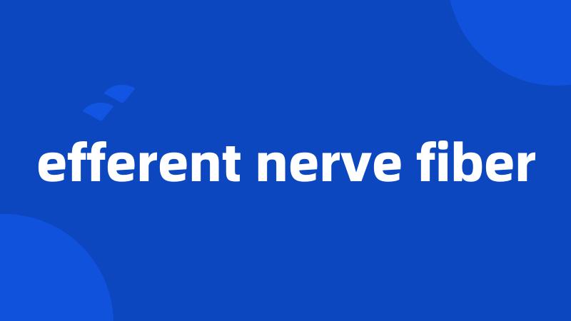 efferent nerve fiber