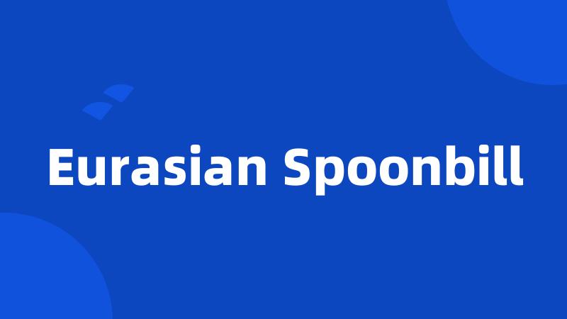 Eurasian Spoonbill