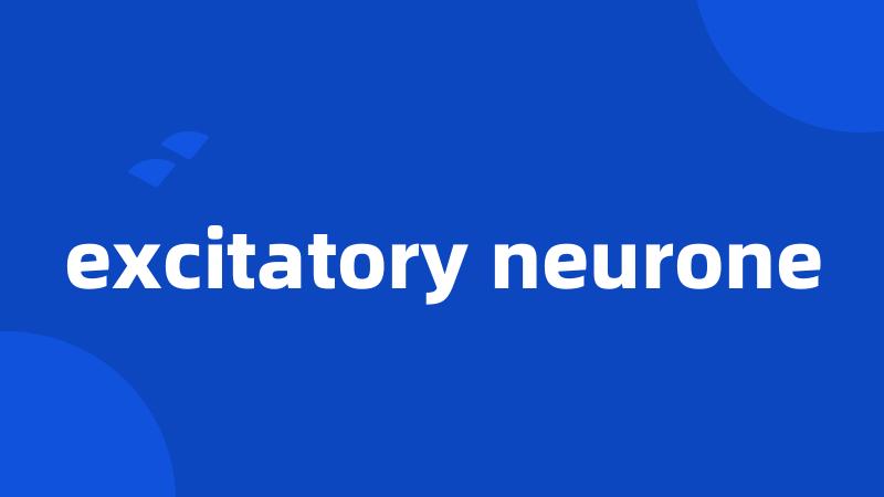 excitatory neurone