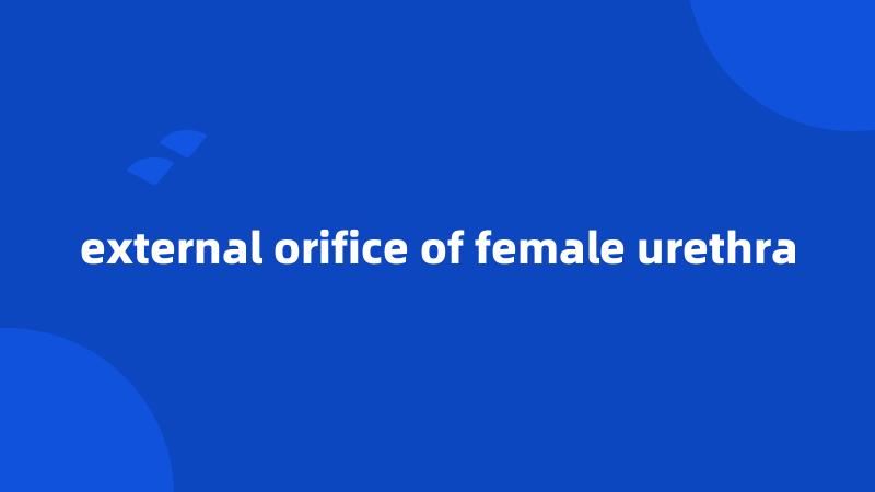 external orifice of female urethra