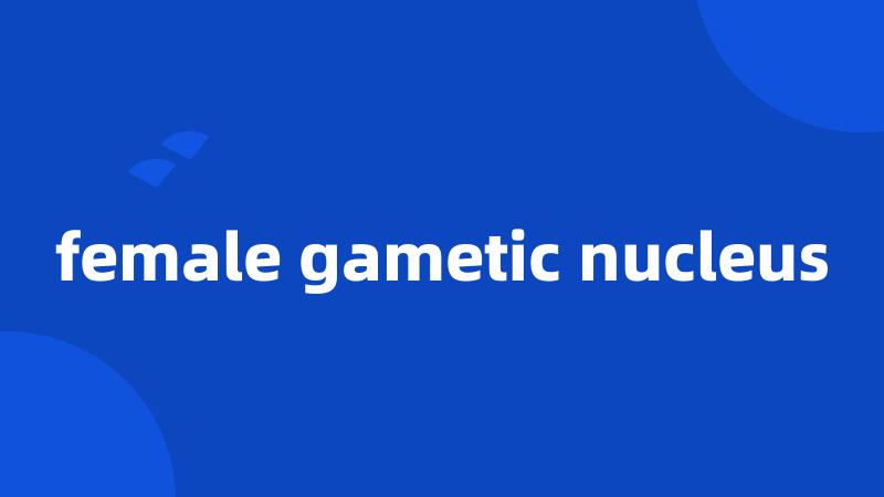 female gametic nucleus