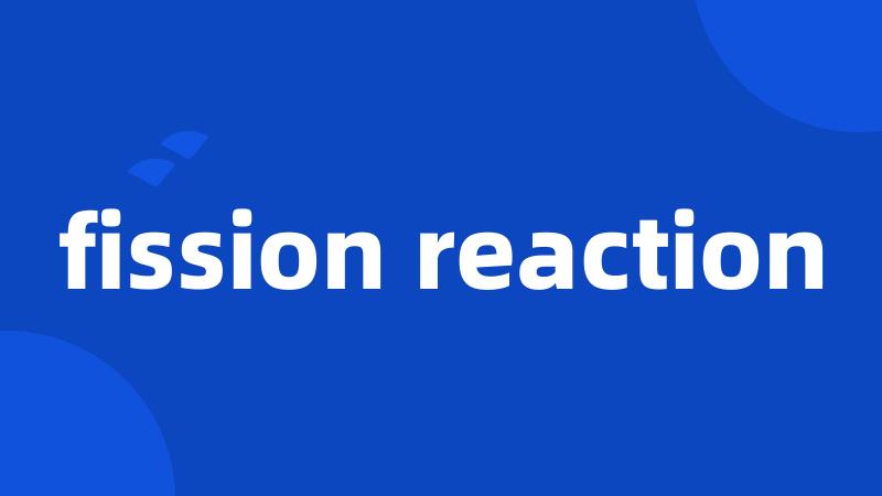 fission reaction