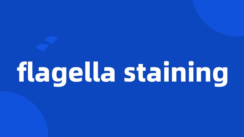 flagella staining