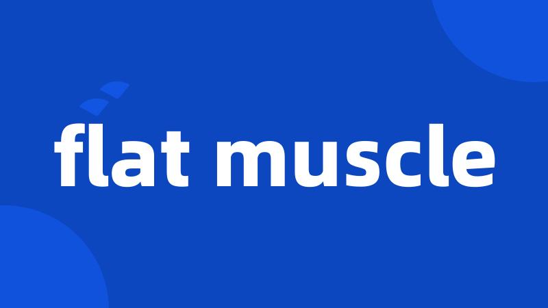 flat muscle