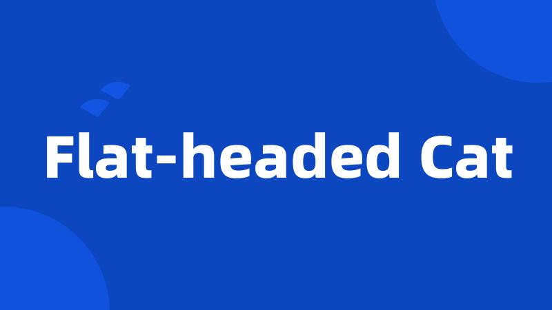 Flat-headed Cat