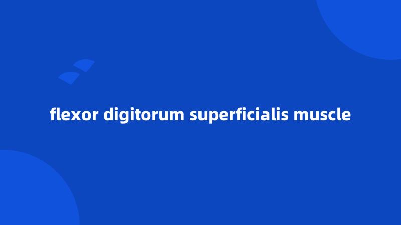 flexor digitorum superficialis muscle