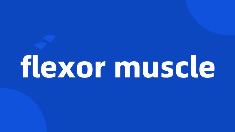 flexor muscle