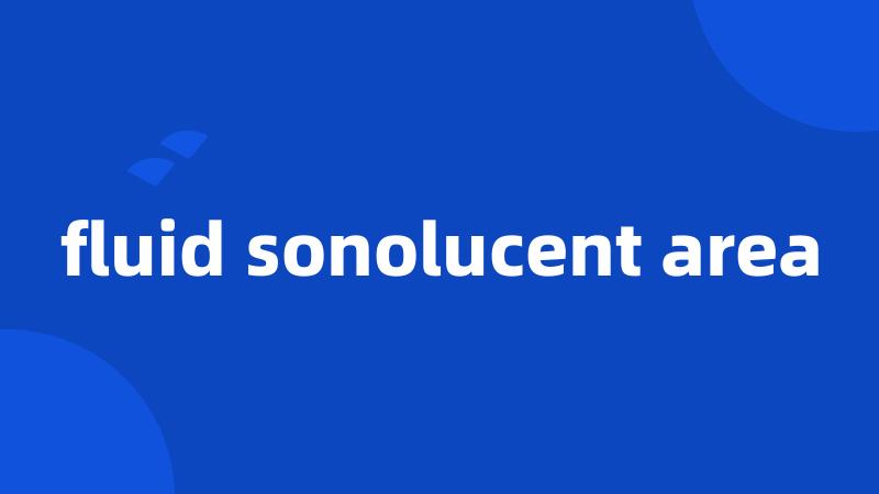 fluid sonolucent area