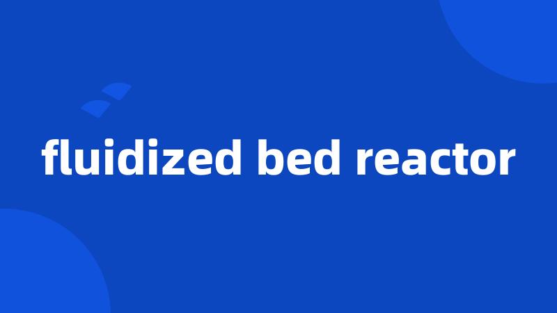 fluidized bed reactor