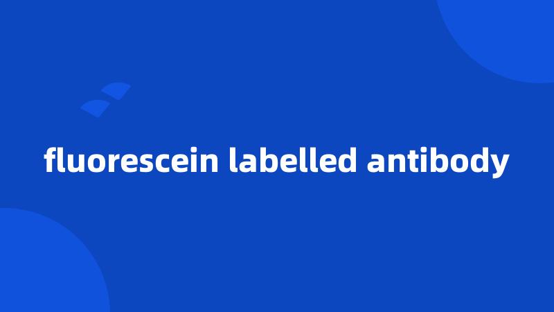 fluorescein labelled antibody