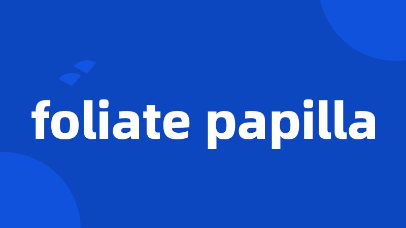 foliate papilla